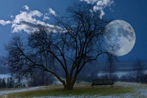 A Hold és hatása a zodiákus jegyekre